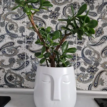 Apartament Juwel Indyjski Ap 29 Kraków